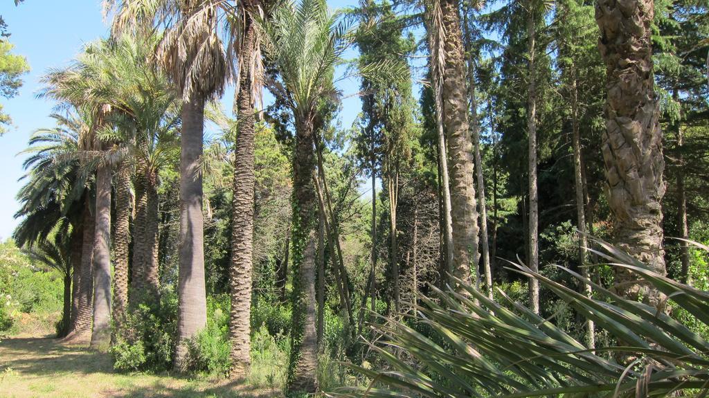 B&B Capo Pero Rio Marina Εξωτερικό φωτογραφία